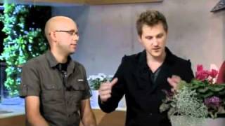 Meadowland intervju 1 tv4 nyhetsmorgon