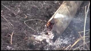 Полиция предупреждает