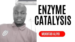 Classification of enzyme | Biomolecules |Transferase | Oxidoreductase | Isomerase | Lyase