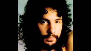 Just Another Night   CAT STEVENS