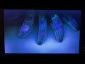 Opening Closing To Aliens 2013 Blu Ray 1990 Special Edition