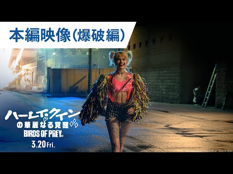 映画『ハーレイ・クインの華麗なる覚醒 BIRDS OF PREY』本編映像（爆破編） 2020年3月20日（金）公開