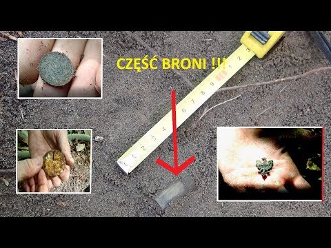 Znaleźliśmy część broni, orła pułkowego, nieśmiertelnik Polaka. Odc.94