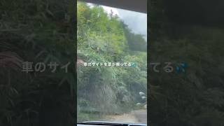 GoogleMapに従うとヤバい道！グランピング川崎懐かしの森　県道田川桑野線が正解よ✨
