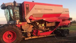 venta de MASSEY FERGUSON 7278 cosechadora de cereales imagen 4 MASSEY FERGUSON 7278 cosechadora de cereales imagen 4