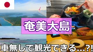 【弾丸旅行】奄美大島はレンタカー無し、土日だけだとつまらないのか。実際に行ってみた【東京から片道10,000円】