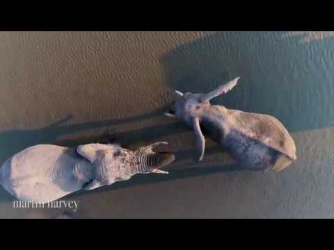 The Place of Elephants - Hyena Pan. Luxury Lodge. Botswana. Natural Selection Travel.