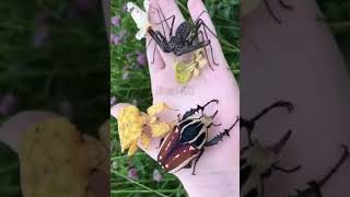 Mery maula tera sanee nahe sary zamany mi beautiful naat