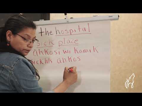 Ep. 7: Common Phrases (Cree Language and Culture Lessons with Kim Halcrow)