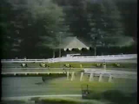 Buckpasser - 1966 Travers Stakes