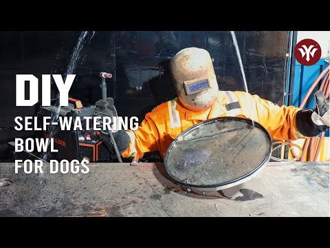 DIY Self Watering Bowl for Pet | YesWelder
