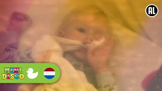 Dromenland | Kinderliedjes | Liedjes voor peuters en kleuters | Minidisco