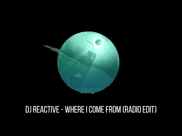 Dj Reactive - Where I Come From  (Remix Stems)