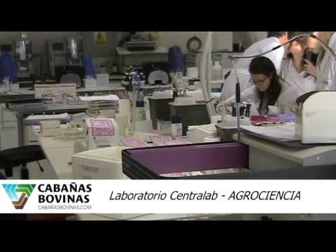 Cabañasbovinas.com - Visita a Lab. CENTRALAB - Dr. Patricio Hermann