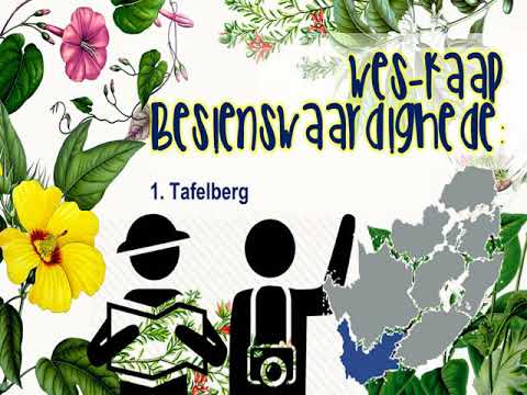 TOERISME GRAAD 10: 17 Junie 2020 - periode 8 (17108)