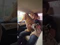 Three Bengal Tigers Travelling In The Car Nouman Hassan