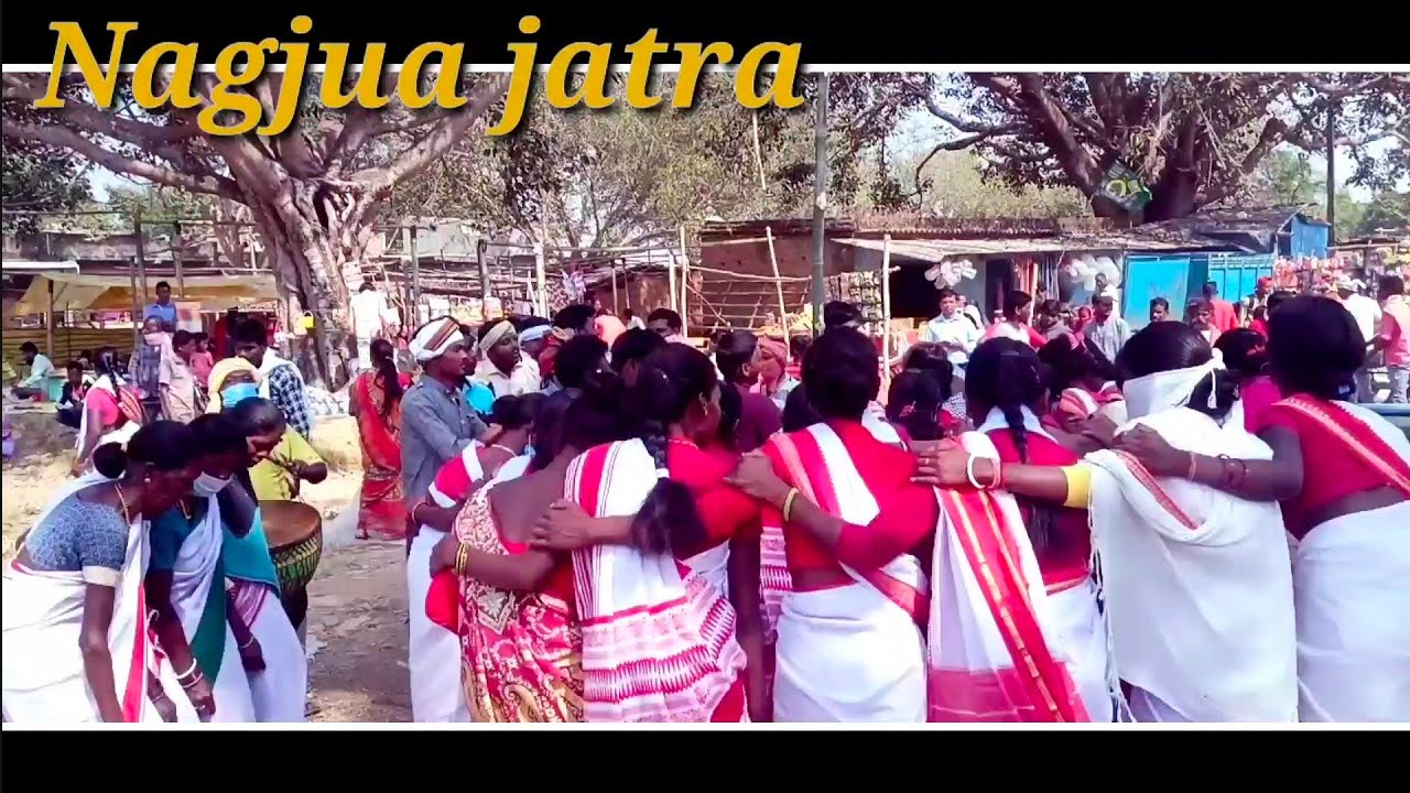 Nagjua jatra 3,11,2020 🥀 Siya Toli group पवन दादा🙏🙏🌹🤪😄