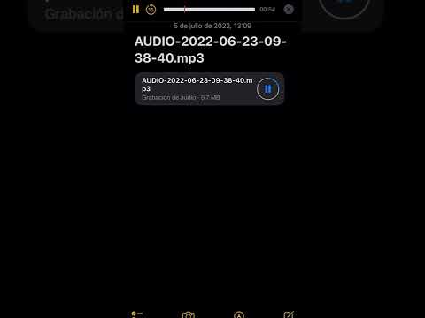 ÉBANO, LOUIS AMOEBA - SNIPPET