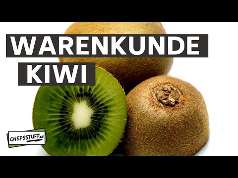 Warenkunde - Kiwi - Was ihr über die unscheinbare Frucht nicht wusstet!