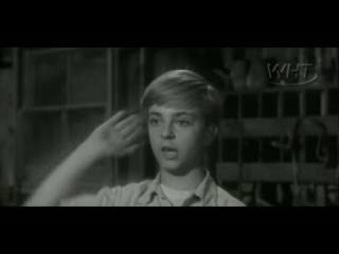 Lassie S02e39 The Frog