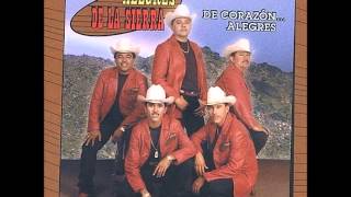 alegres de la sierra somos ajenos.wmv