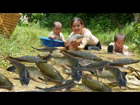 Meet a giant school of fish with your child - catch fish and trap fish on a rainy day