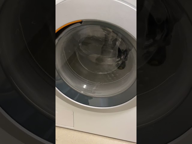 1323188 Washing column, Miele (2018)