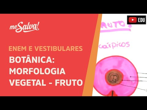 Me Salva! BOT43 - Botânica - Morfologia vegetal: o fruto