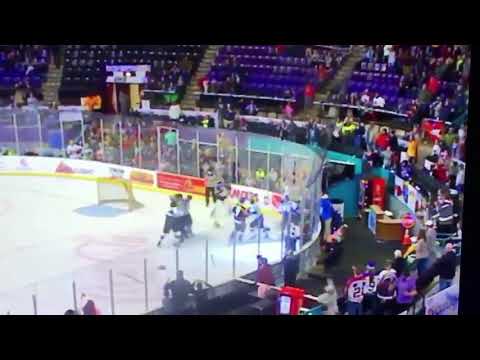 Goalie scrap with an Epic play-by-play call