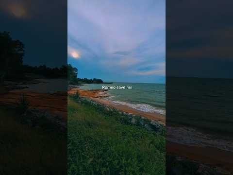 #darwin #love #nature #sea#beach #waves #sunset #trending #shorts #viralvideo#vibes#viralshorts#song