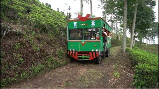 Download lagu Museum listrik van der rappart di  kebun teh Jamus - Ngawi mp3 Download lagu Museum listrik van der rappart di  kebun teh Jamus - Ngawi mp3