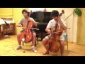 Cello Brothers - The Resistance(Muse) 
