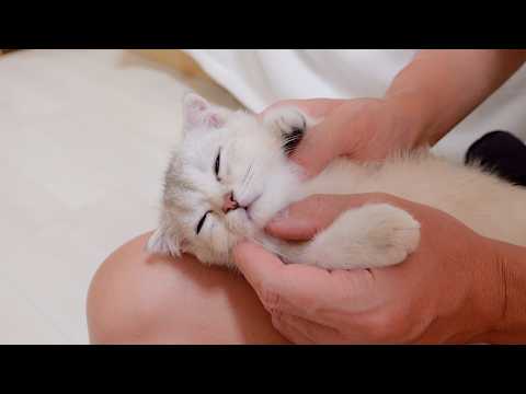 YouTube 썸네일