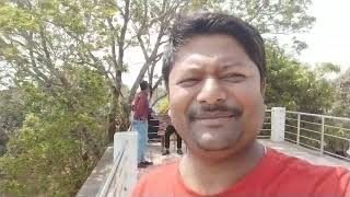 নীলগিরি পাহাড়ের চূড়ায়।