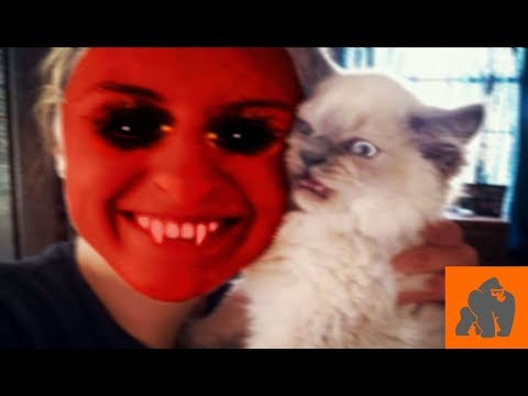 Funny Cats Scared of Masks - Part 2