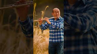 Download lagu A Town with an Ocean View - Joe Hisaishi　海の見える街 - 久石譲 #海の見える街 #久石譲 #フルート  #joehisaishi #flute mp3
