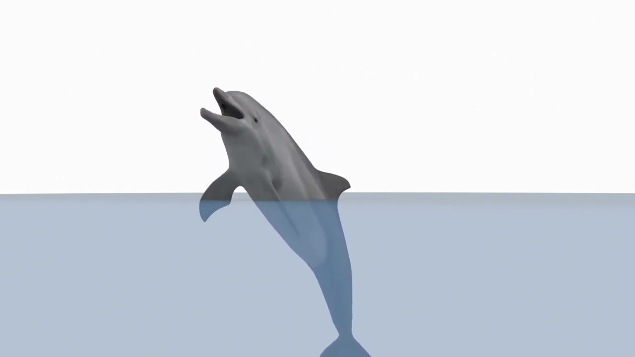 Delfino animato in 3D Modello 3D
