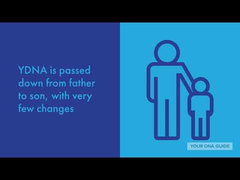 Why Take a YDNA Test for Family History