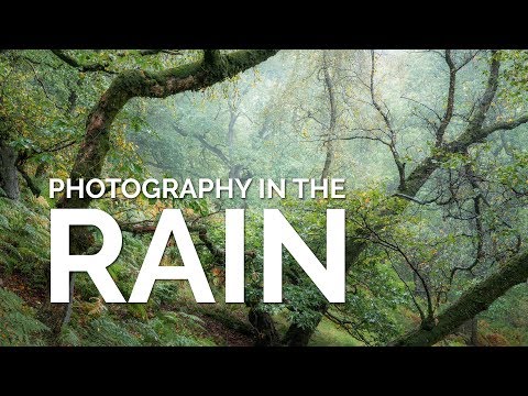 Photography in the Rain  - Why I love it