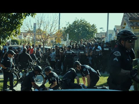 Dc Baby Draco and 2 more