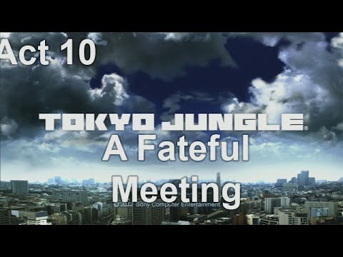 A Fateful Meeting - Tokyo Jungle #11