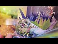 Where Do Fairies Go To Hide Magical ASMR Book Reading