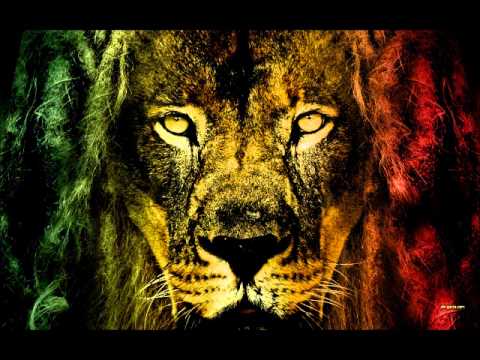 MonkeyJhayam & Radiola Dub ,Mix Jah Knomoh - Vastidão