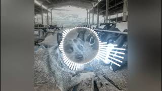 Download lagu Matogrosso e Mathias (secando várias garrafas) mp3