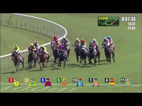 8/5/2021 (655) Kung Fu Tea - Z Purton