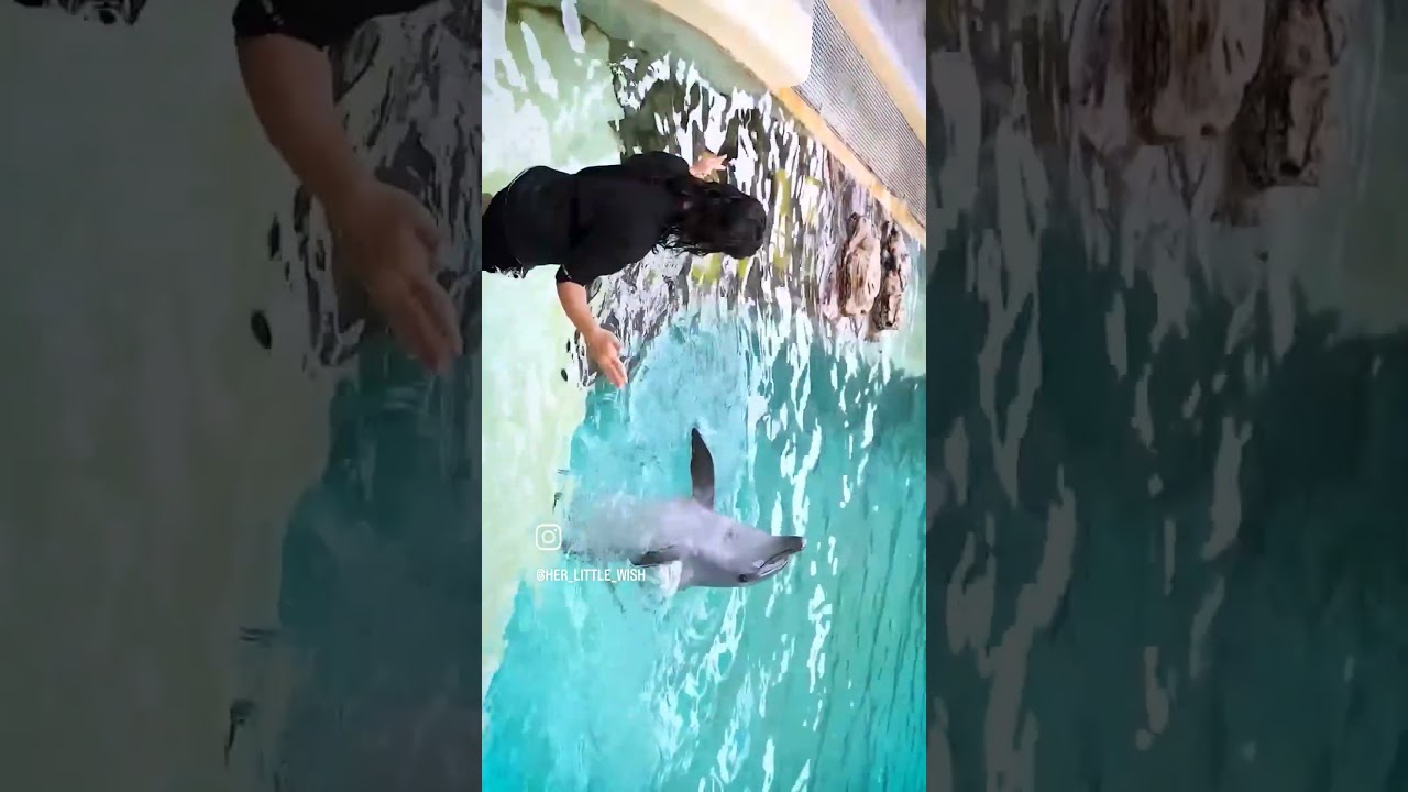 YouTube Short thumbnail