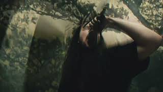 The Pinnacle of Violence - Rejuvenation