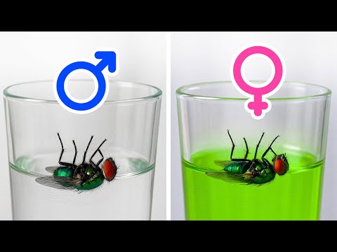 Facts That Make You Go ‘Huh’ and Then Google for an Hour