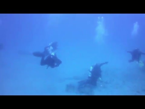 Goliath Groupers and a Reef Shark at Tunnels Reef 04/30/2016
