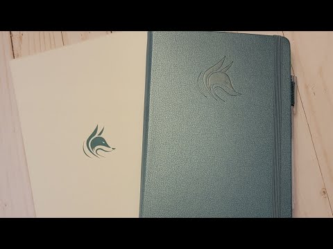 Clever Fox Advanced Weekly Planner review and How I'm using it!